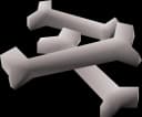 Babydragon bones