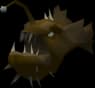 Blighted anglerfish