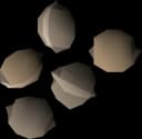 Camphor seed