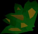 Grimy dwarf weed