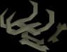 Hydra bones