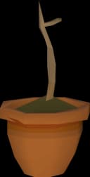 Magic sapling