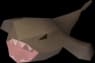 Monkfish