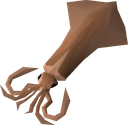 Raw jumbo squid