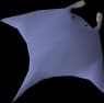 Raw manta ray