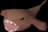 Raw monkfish