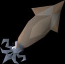 Raw swordtip squid