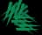 Snape grass