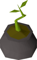 Bagged magic tree