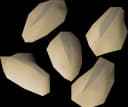 Barley seed