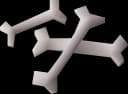 Bones