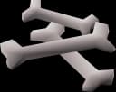 Dragon bones