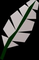 Feather