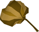 Grand seed pod