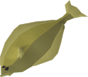 Halibut