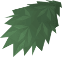 Hemp