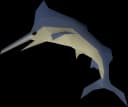 Raw marlin