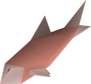 Raw salmon