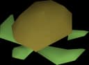Raw sea turtle