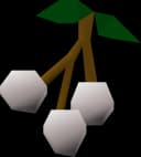 White berries