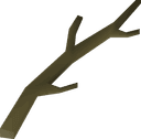 Willow branch